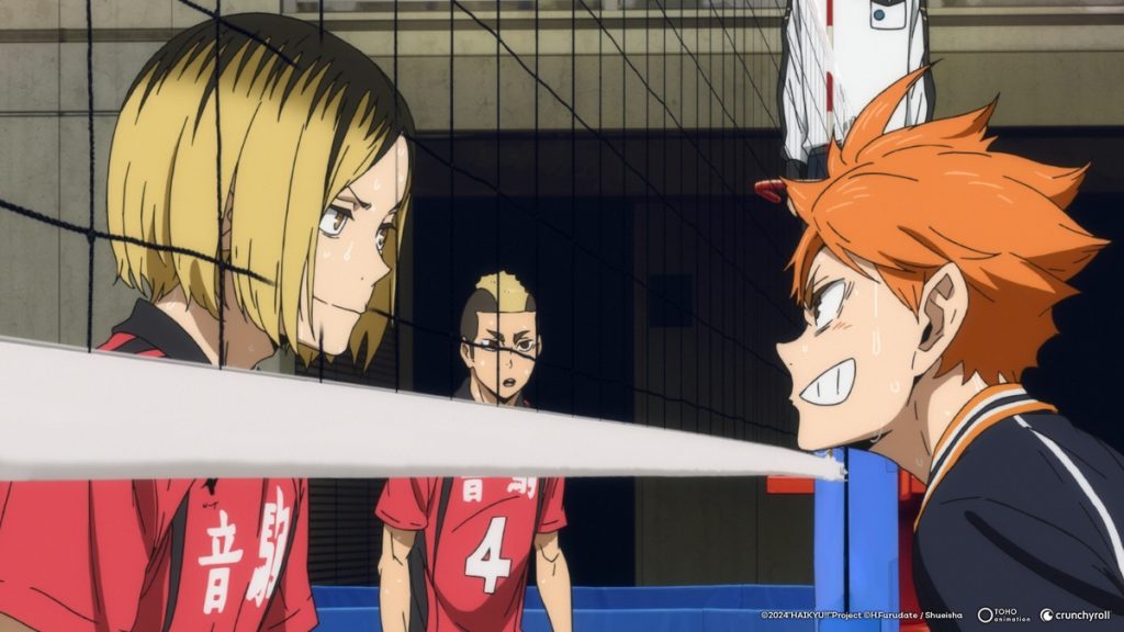 haikyu x